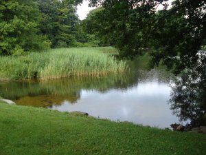 Havetofter See, Havetoft, Gemeindebadestelle in Havetoft - Infos, Lage und Wasserqualitaet