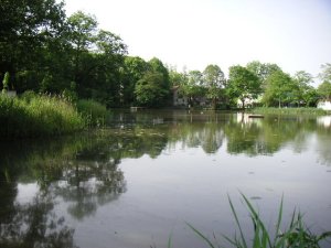 Badesee Lindewitt in Lindewitt - Infos, Lage und Wasserqualitaet